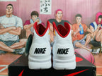 Nike Zoom LeBron 4 Basketball Shoes White Red