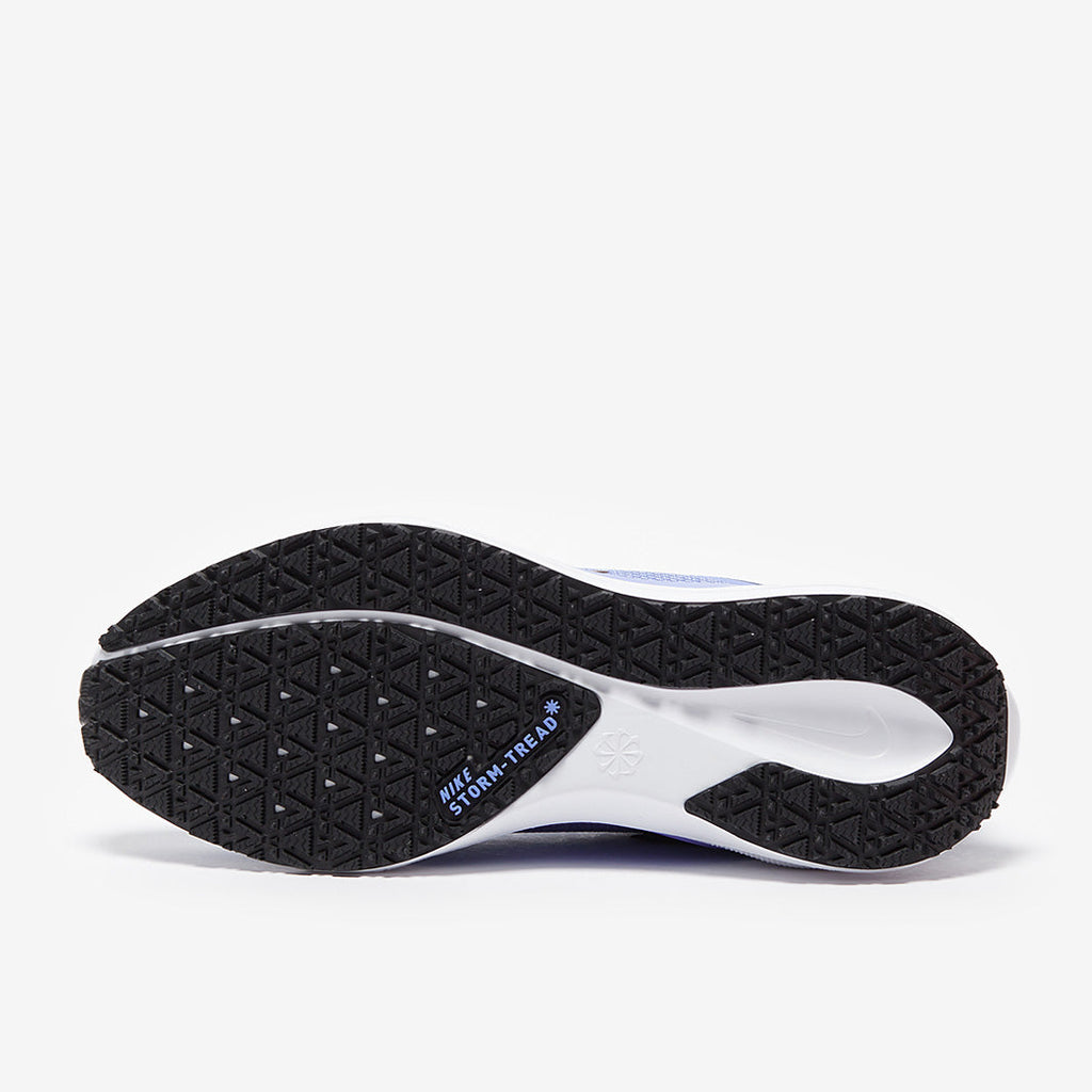 Nike Womens Pegasus 41 GORE-TEX