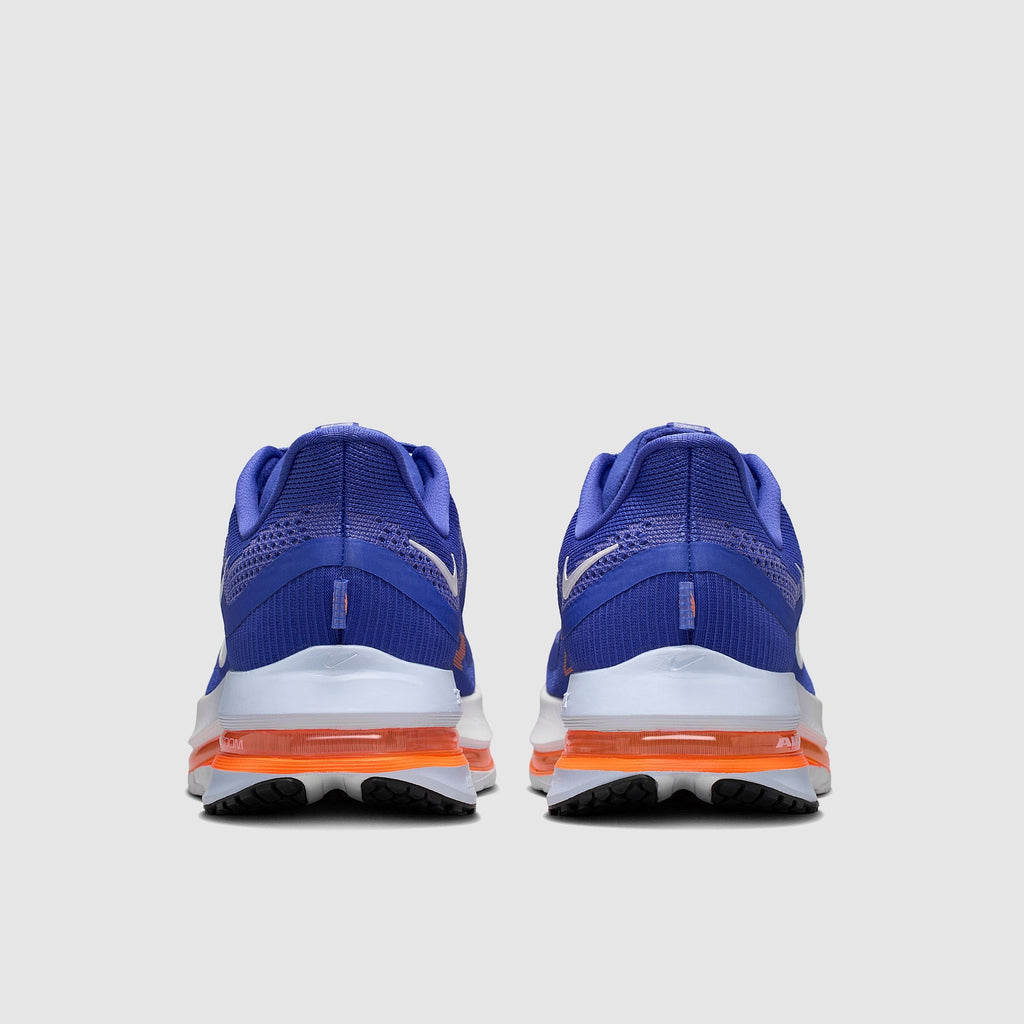 Nike Pegasus Premium