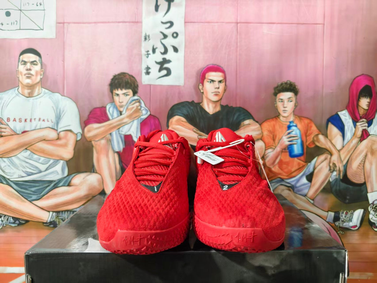 Nike LeBron Basketball Shoes in Red and Black