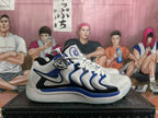 Nike Kevin Durant Basketball Shoes White and Blue