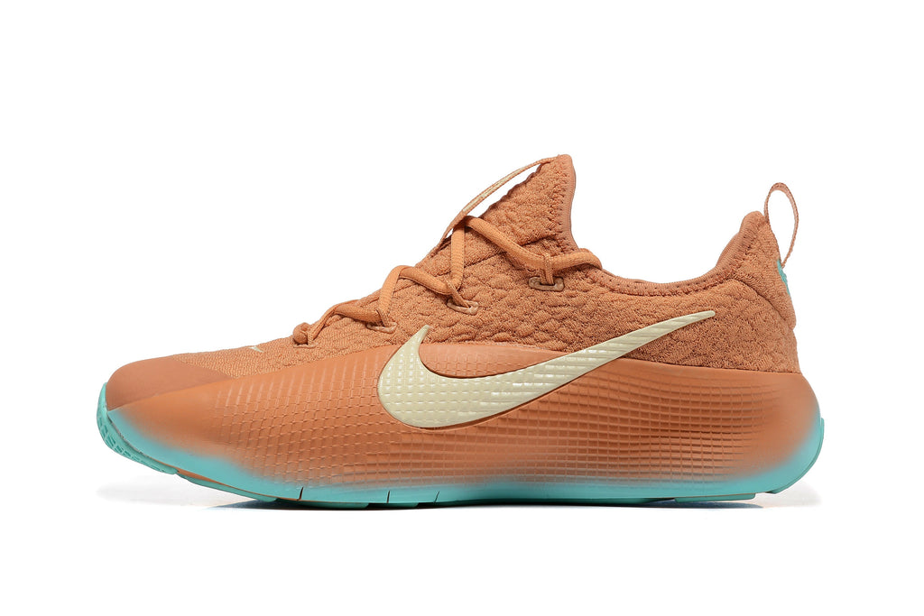 Nike LeBron Training Shoes in Rust and Teal