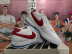 Nike Low-Top Sneakers White Red and Blue