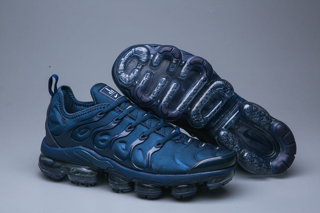 Nike Air VaporMax Plus TN-15 Sneakers in Blue