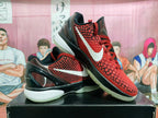 Nike Zoom Black and Red Basketball Sneakers