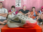 Nike Basketball Sneakers Beige and Red