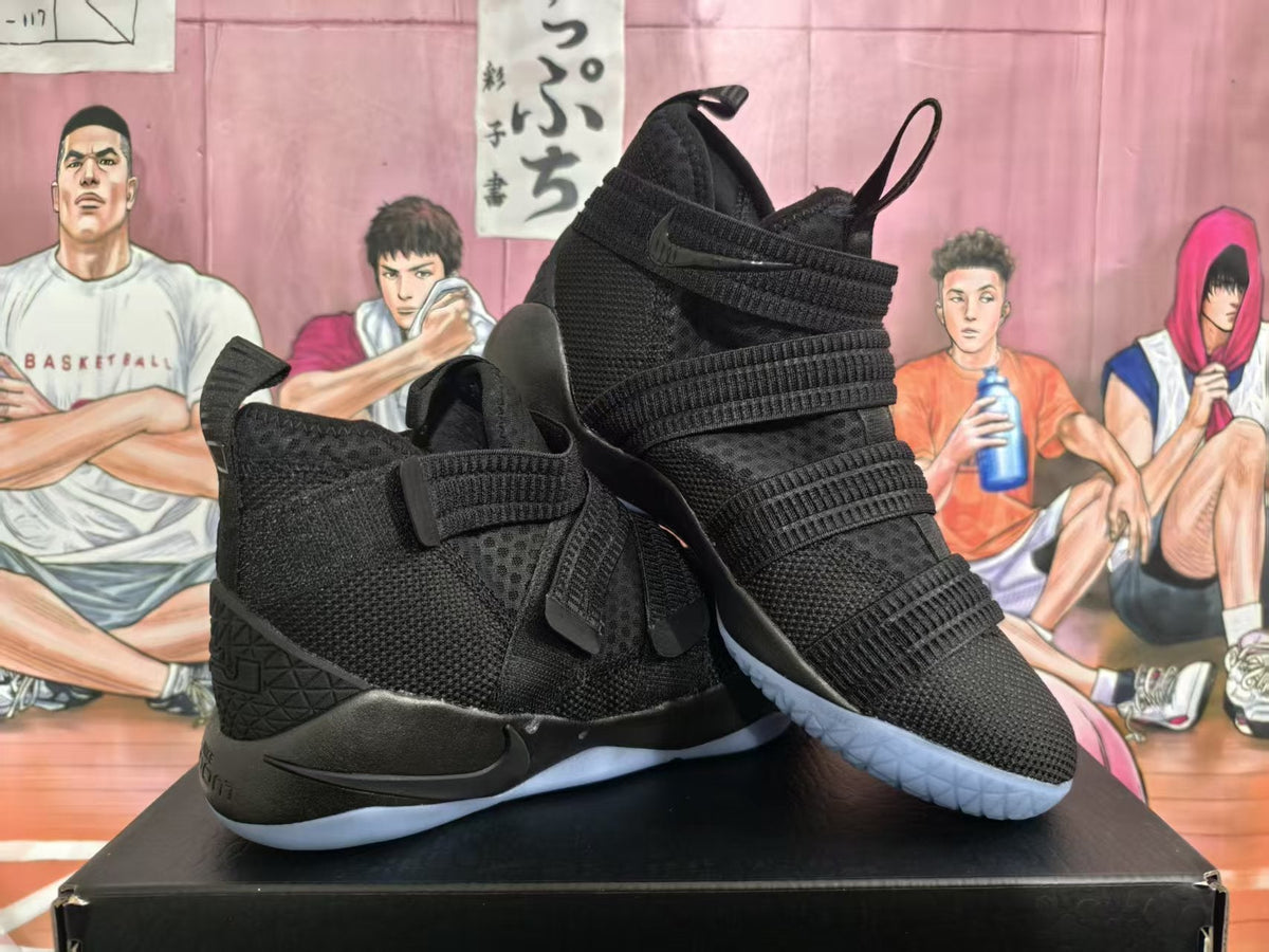 Nike LeBron Basketball Sneakers Black