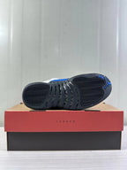 Jordan Air Jordan 12 Retro White Black Blue CT8013-140