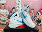 Nike Hyperdunk Basketball Shoes White and Blue