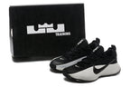 Nike LeBron TR1 Low-Top Basketball Shoes