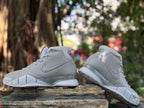 Nike Kobe 1 FTB Basketball Shoes in Grey
