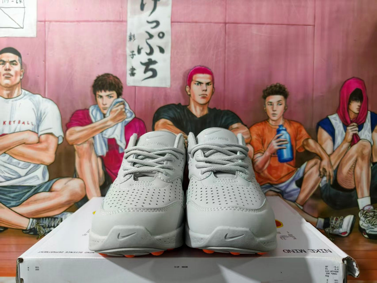 Nike Air Max SC Grey Sneakers