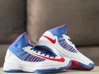 Nike HD2012 Basketball Sneakers White Blue Red