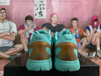 Nike Zoom Basketball Shoes in Turquoise and Bronze