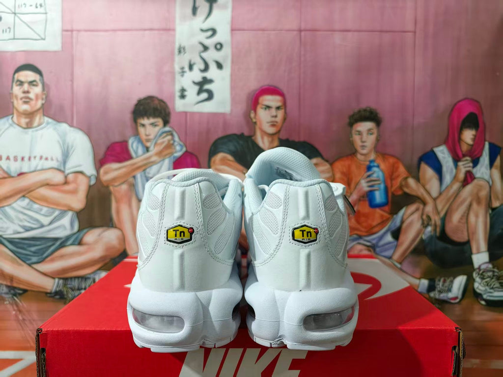 Nike Air Max Plus Sneakers White