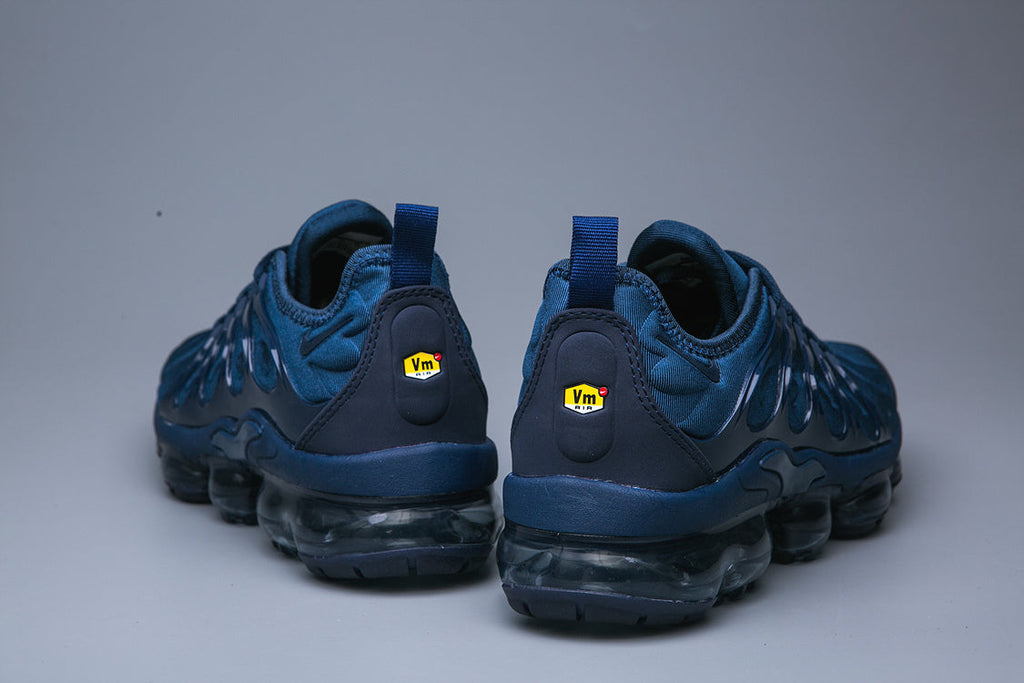 Nike Air VaporMax Plus TN-15 Sneakers in Blue