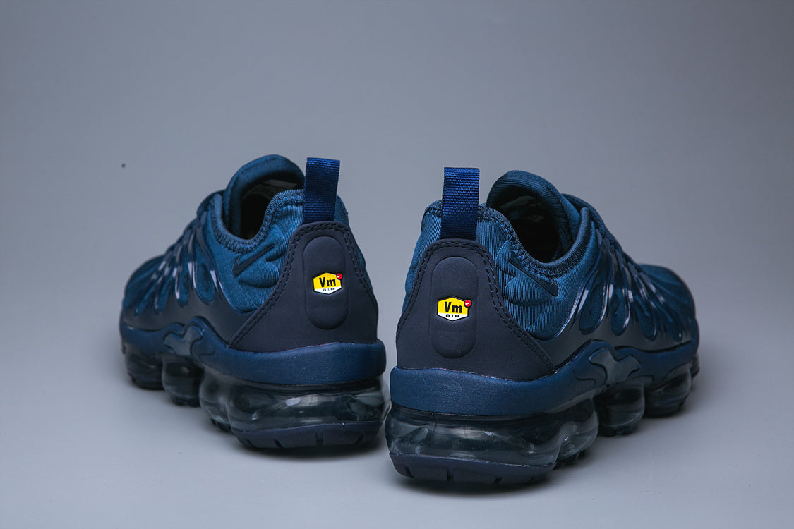 Nike Air VaporMax Plus TN-15 Sneakers in Blue