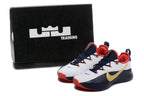 Nike LeBron TR1 Low-Top Basketball Shoes