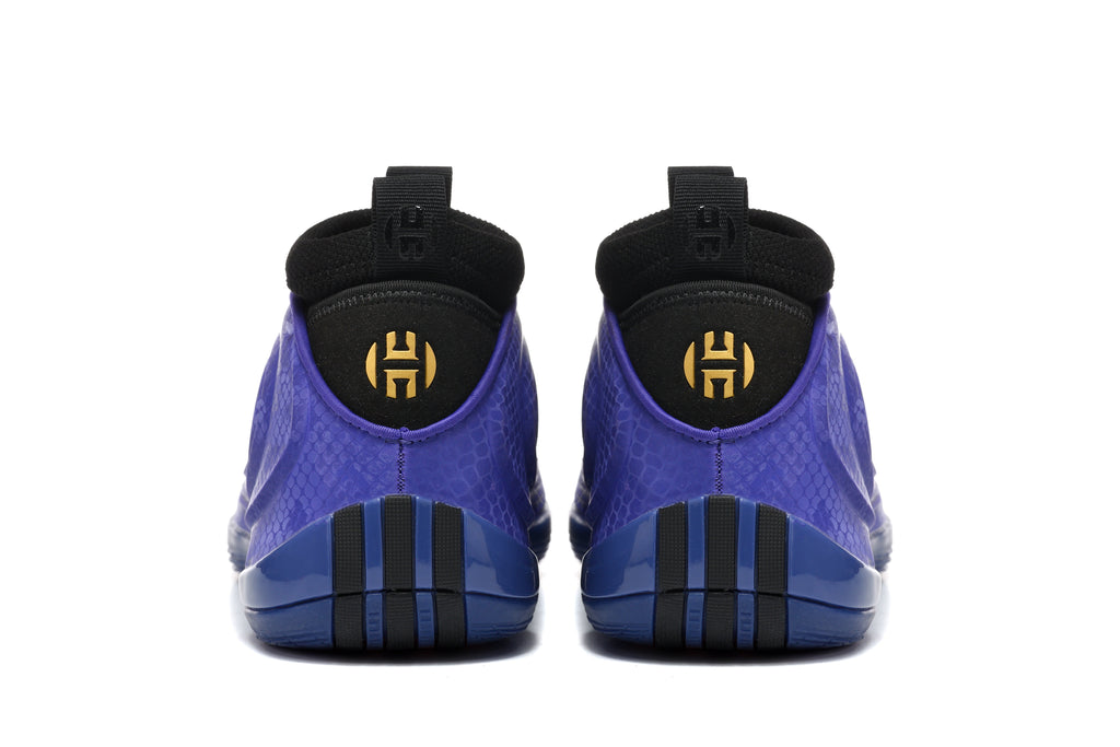 Nike Zoom Freak 5 Basketball Shoes in Purple and Black