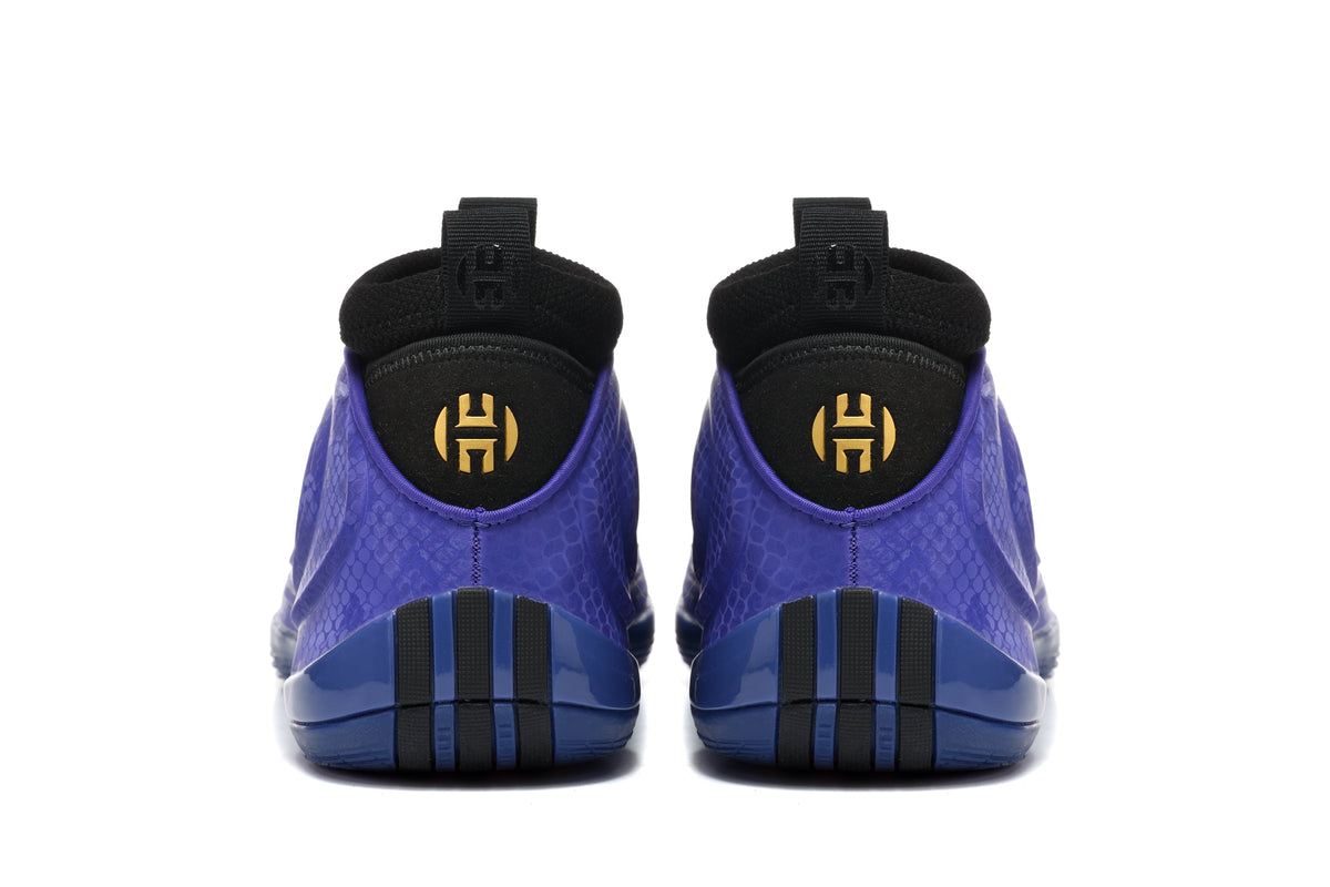 Nike Zoom Freak 5 Basketball Shoes in Purple and Black