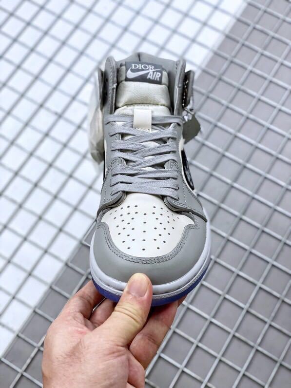 Nike Air Jordan 1 High OG Dior Gray White CN8607-002