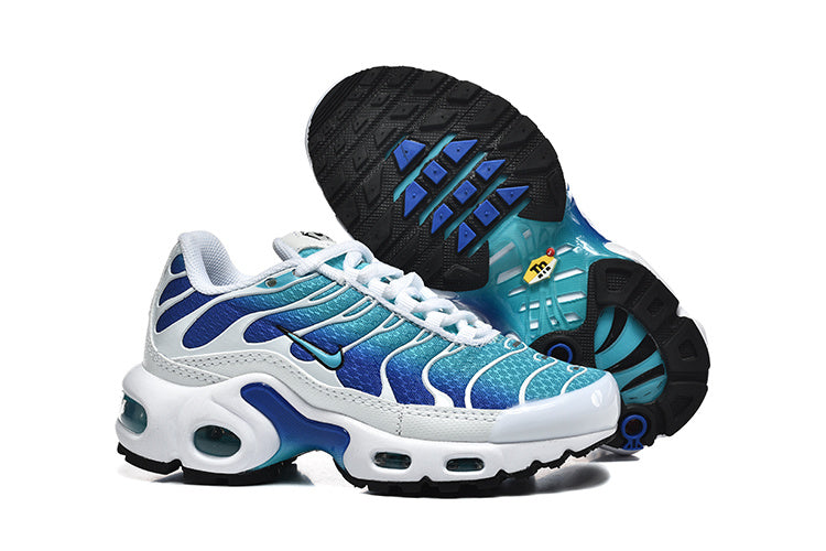 Nike Air Max Plus Blue and Teal Sneakers