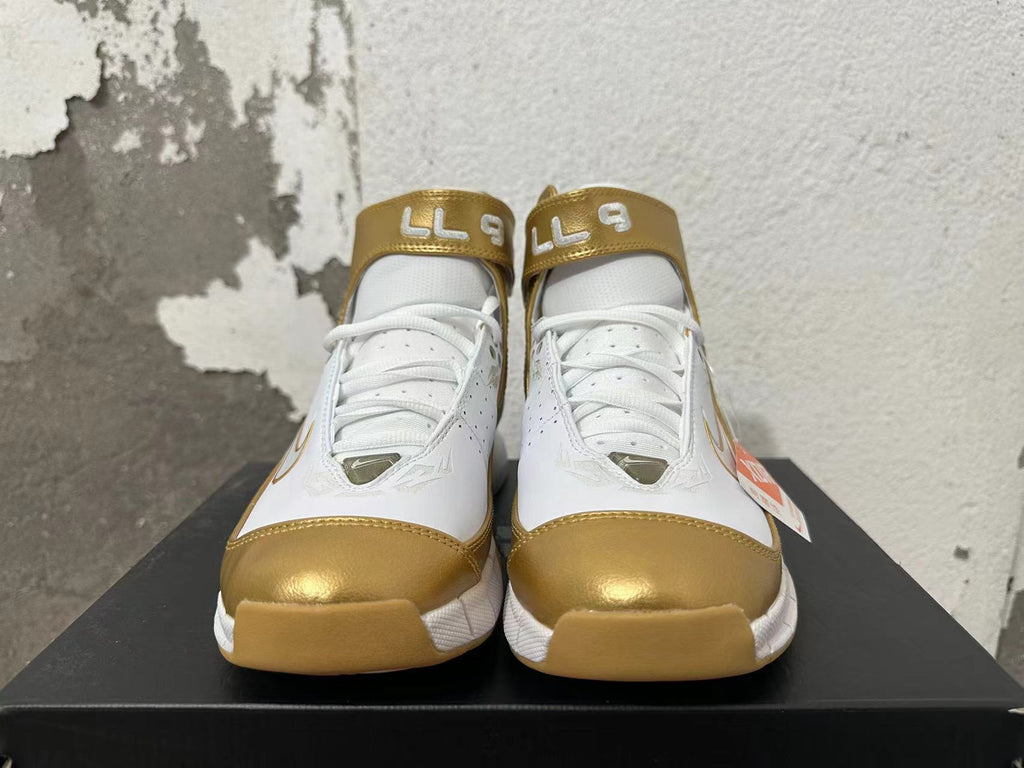 Nike Zoom 2K5 White and Metallic Gold Basketball Shoes