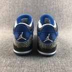 Jordan Air Jordan 3 Blue Sneakers with Elephant Print
