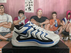 Nike LeBron Basketball Shoes White Blue