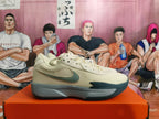 Nike Zoom Court Lite 3 Tennis Shoes, Beige and Gray