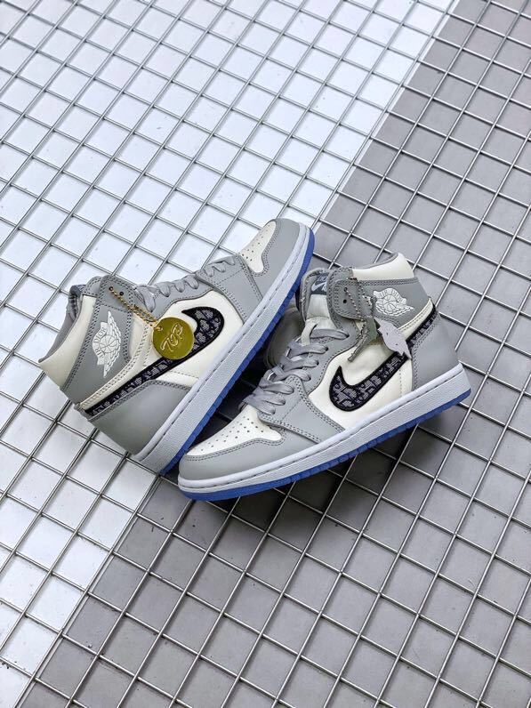 Nike Air Jordan 1 High OG Dior Gray White CN8607-002