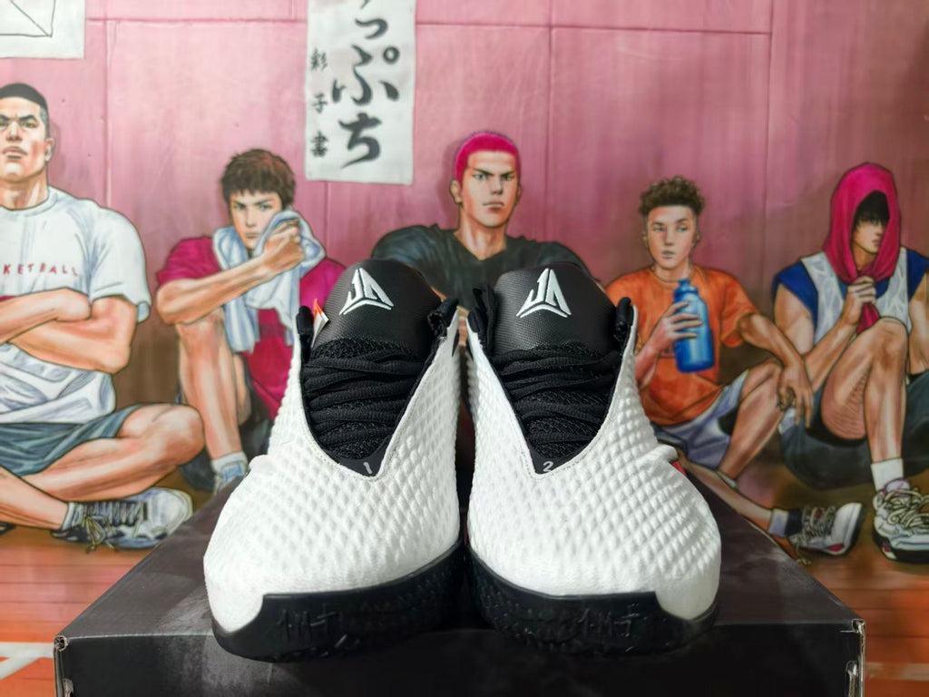 Nike LeBron 20 Basketball Shoes White Black Red