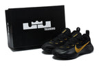 Nike LeBron 17 Low Training Shoes, Black and Gold